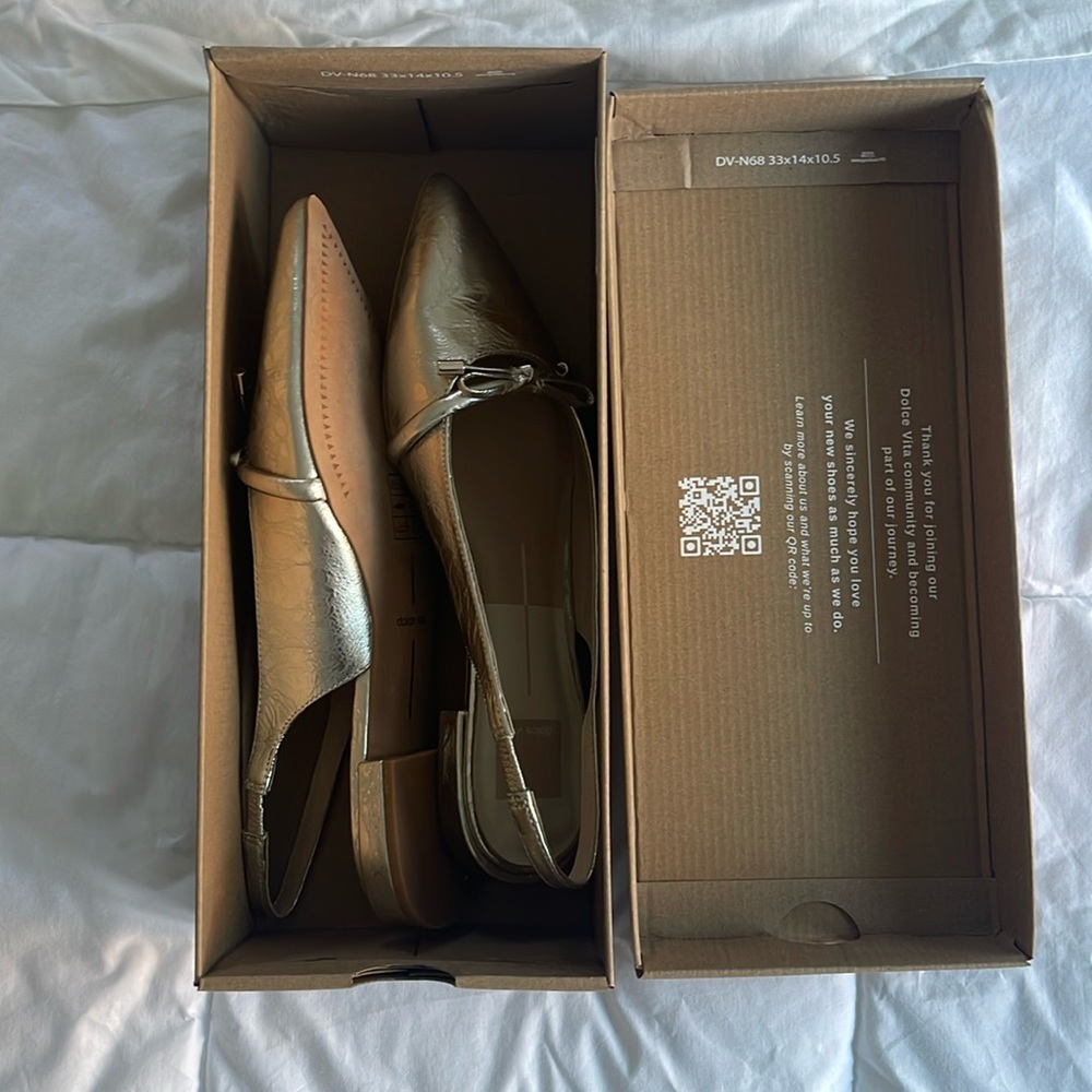 Dolce Vita Flats - Absolutely stunning